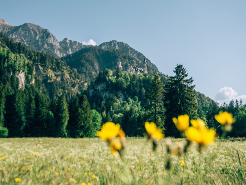 Blick von unten auf Schloss Neuschwanstein