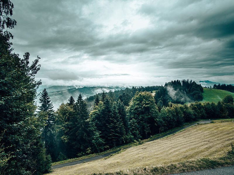 Blick in den Bregenzerwald