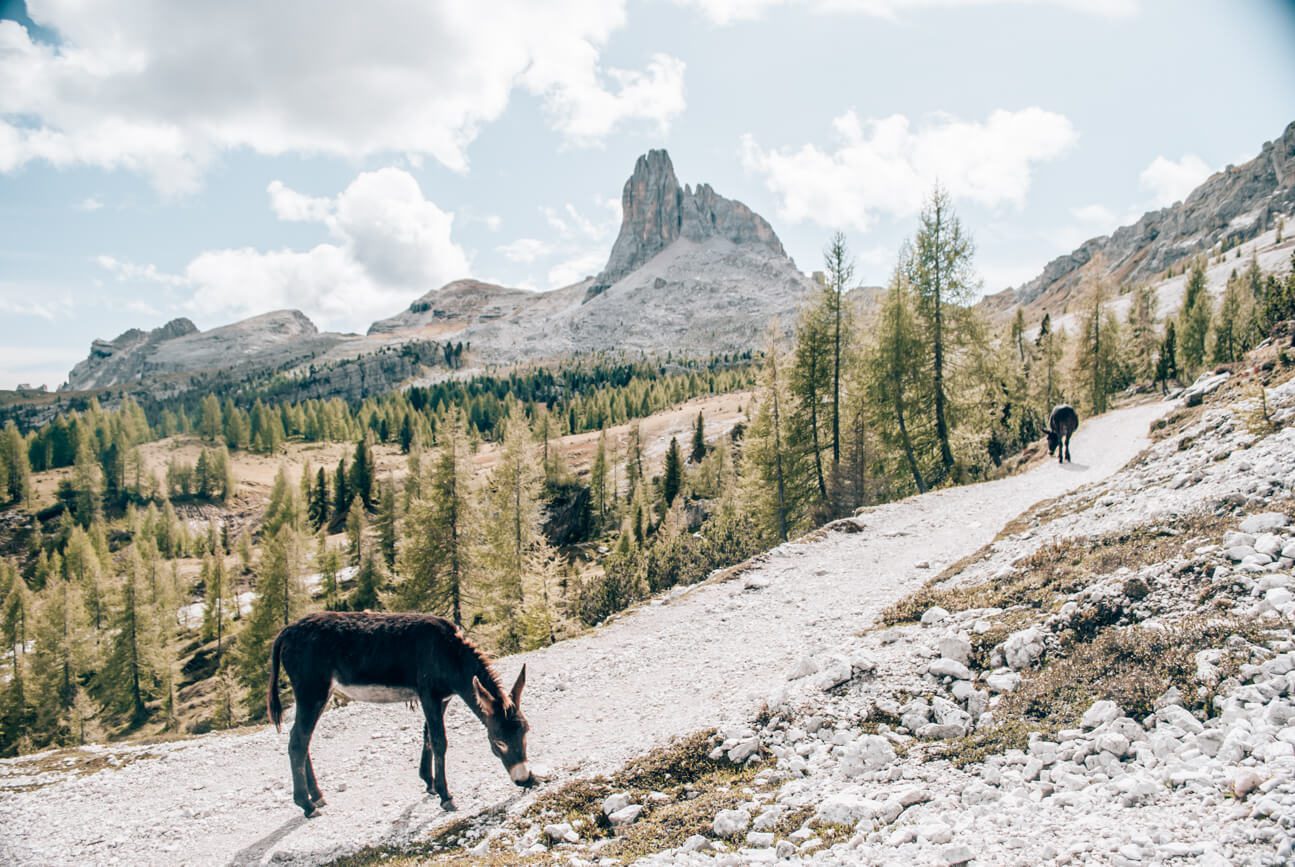 Wandern durch die malerische Landschaft der Dolomiten