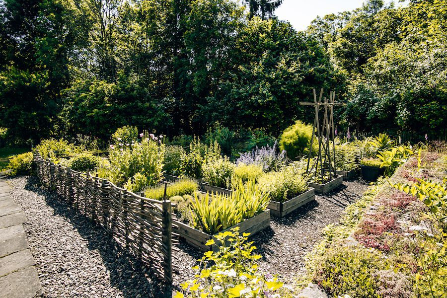 Verschiedene Käuter