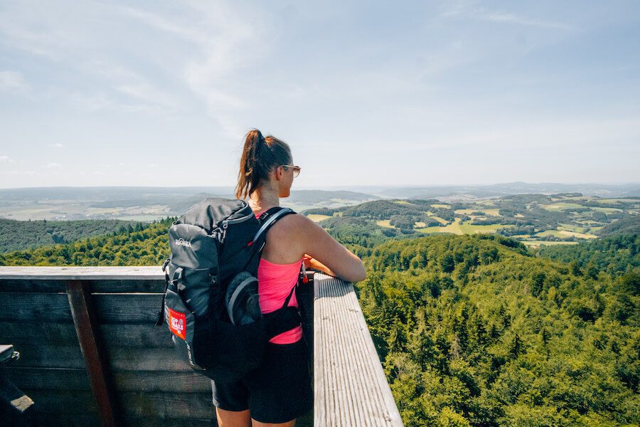 Panoramaausblick Ebersnackenturm
