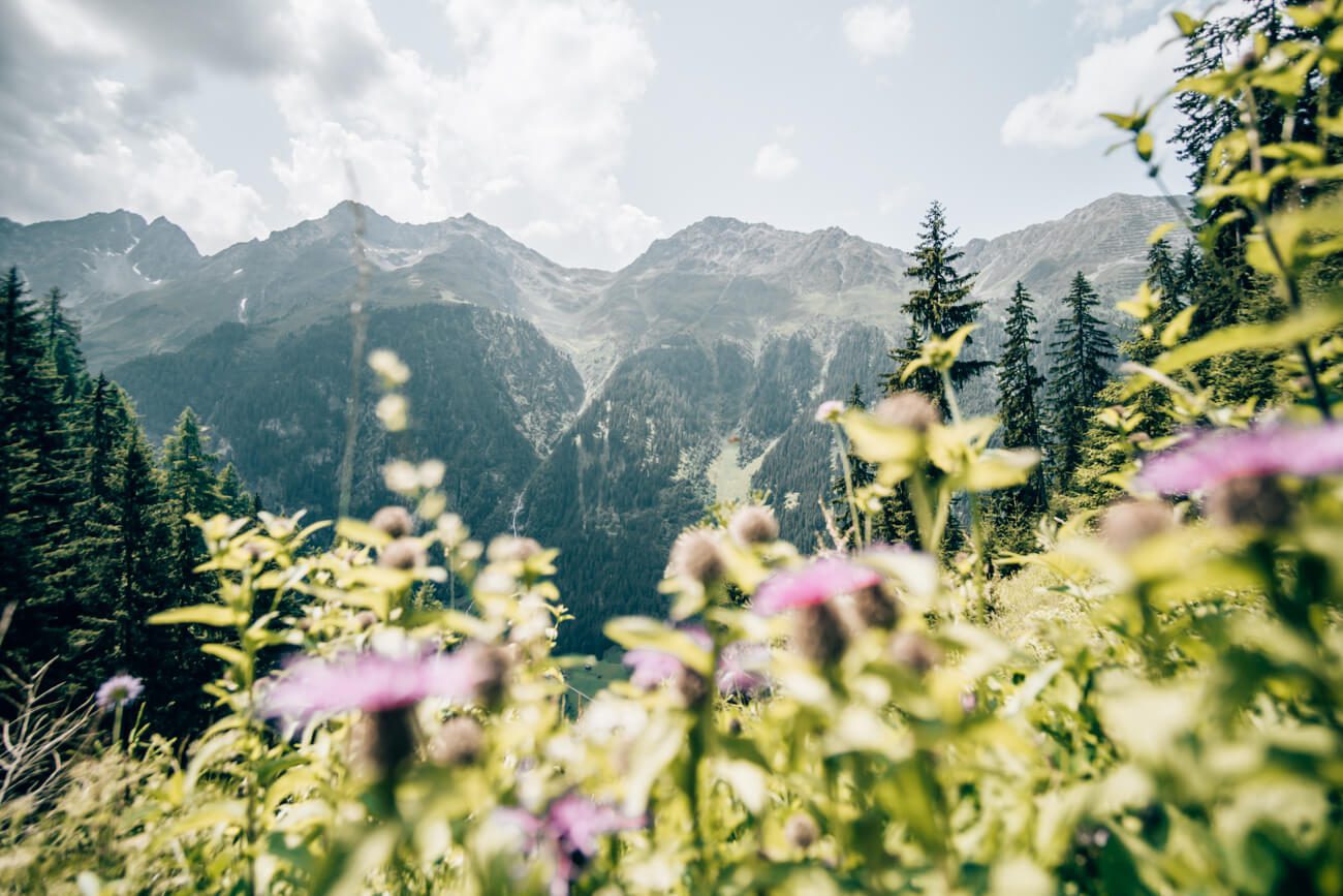 Abstieg über den Knappensteig