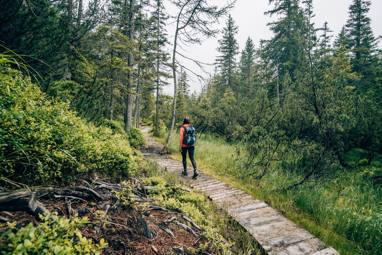 Unterwegs auf dem Pillermoor Weg im Kaunertal