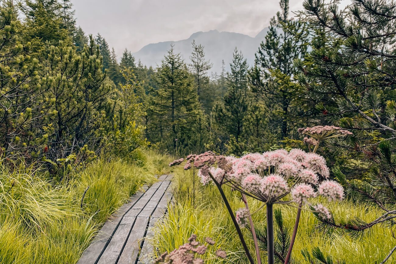Piller Moor Wanderung