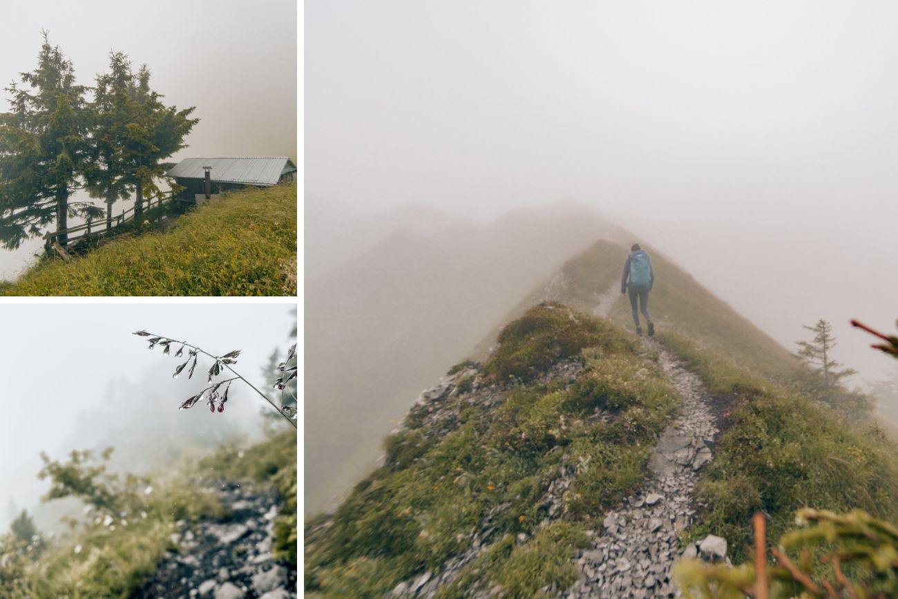 Tell-Trail: Arvigrat