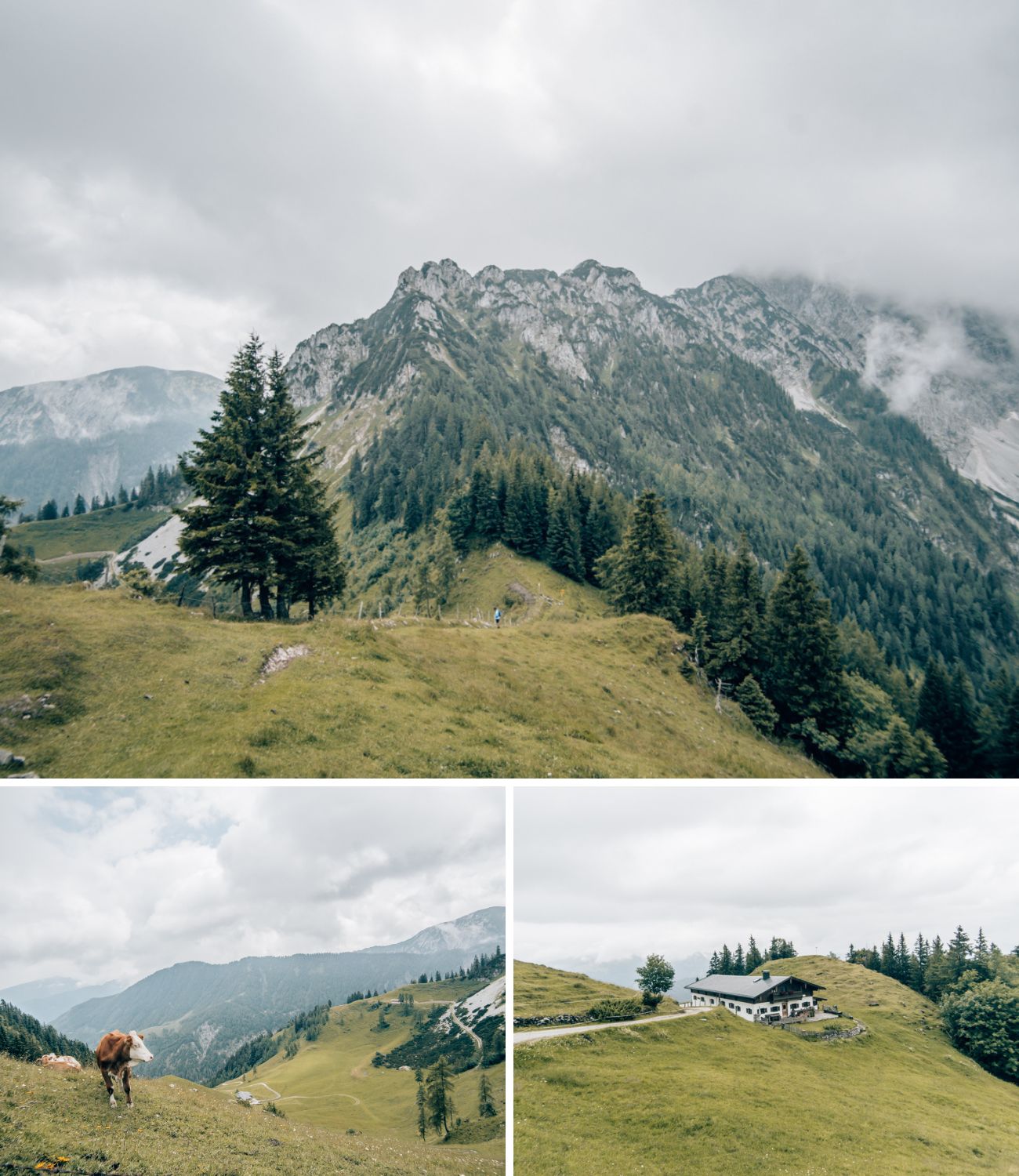 Wanderung auf den Heuberg im Kaisergebirge