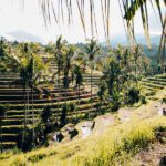 Indonesien Backpacking