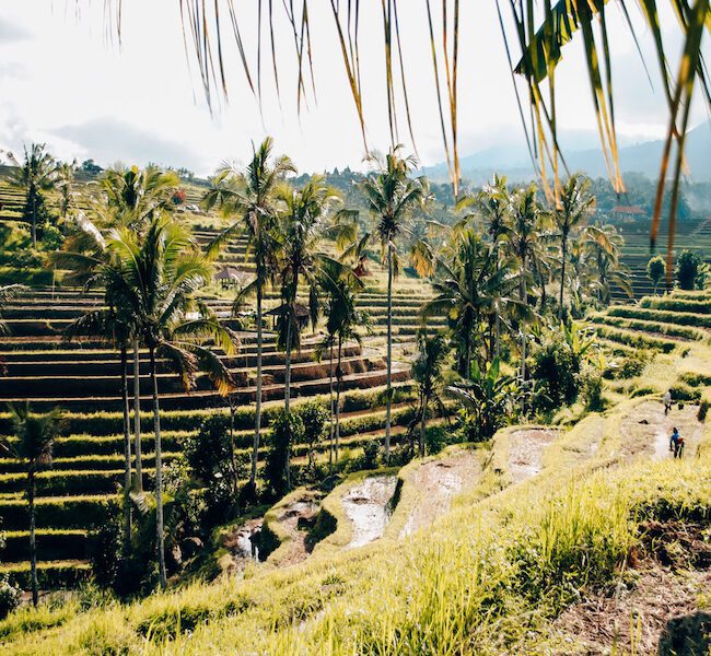 Indonesien Backpacking