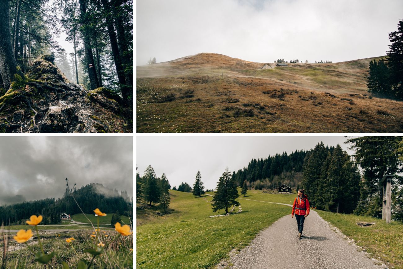 Landschaft Hohe Kugel