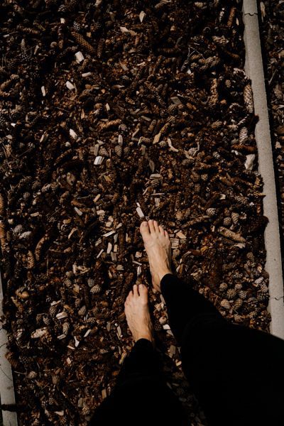 Barfusspark WesterwaldSteig