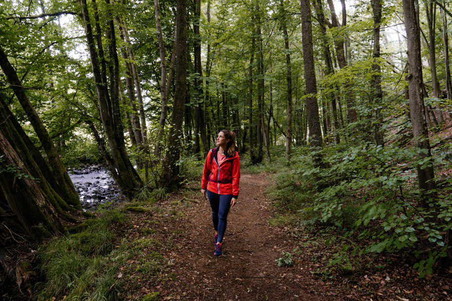 Waldwandern WesterwaldSteig