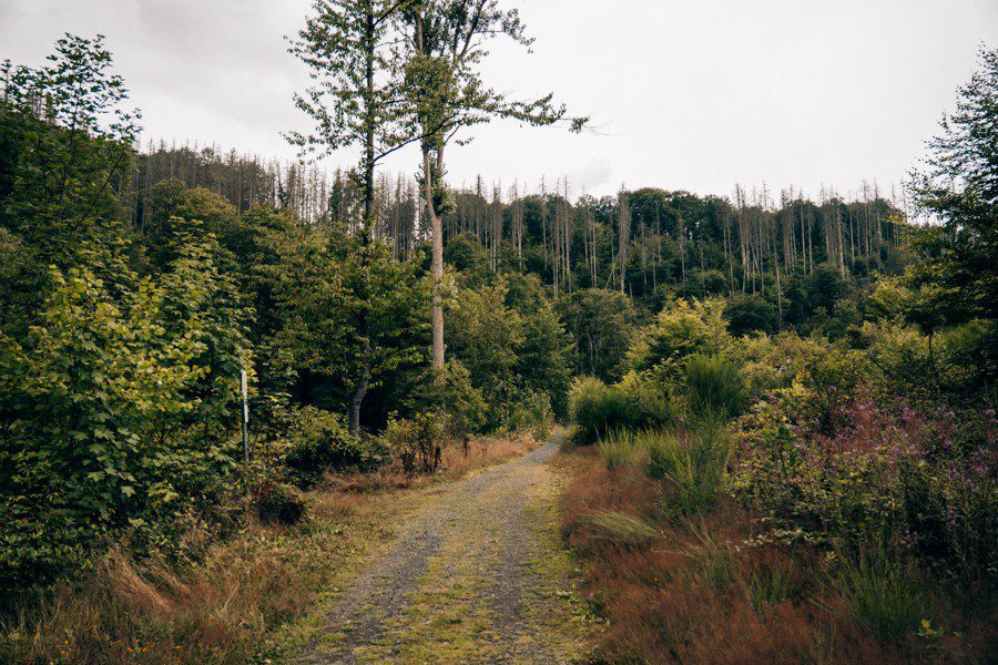 Landschaft im Westerwald
