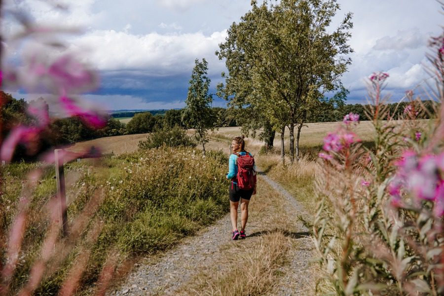 Wanderweg nach Hachenburg