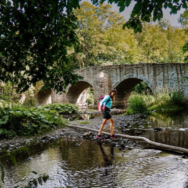 Westerwaldsteig Etappe 9 Nisterbrücke