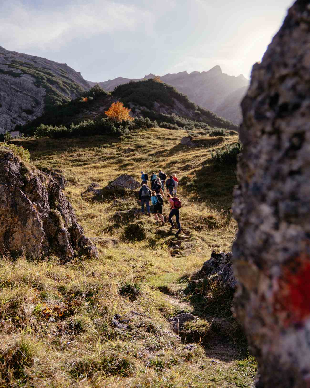 Herbstlicht bei der Wanderung im Lechtal