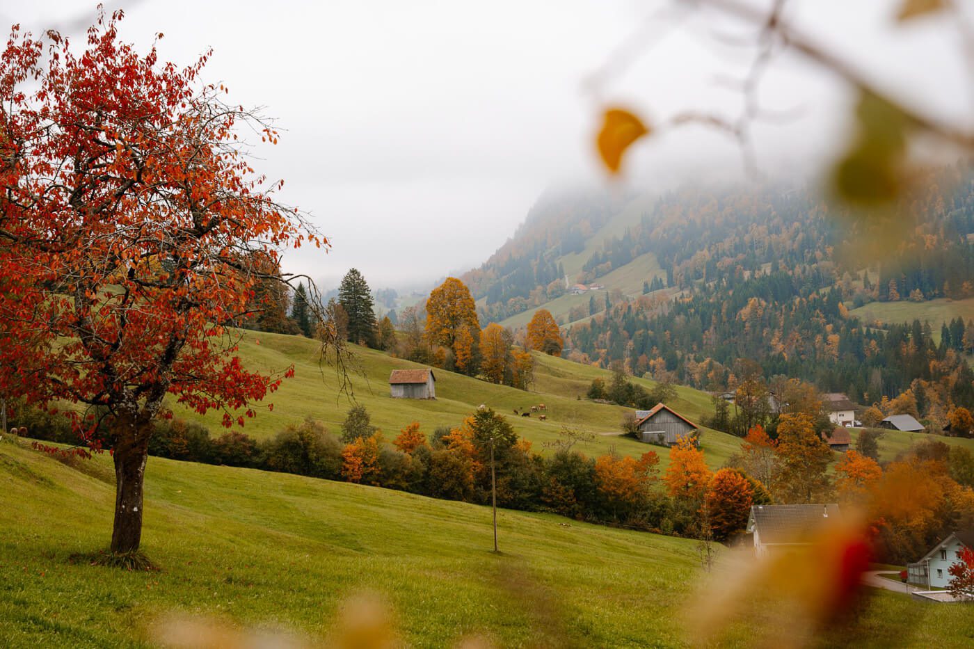 Herbstlandschaft in Flühli