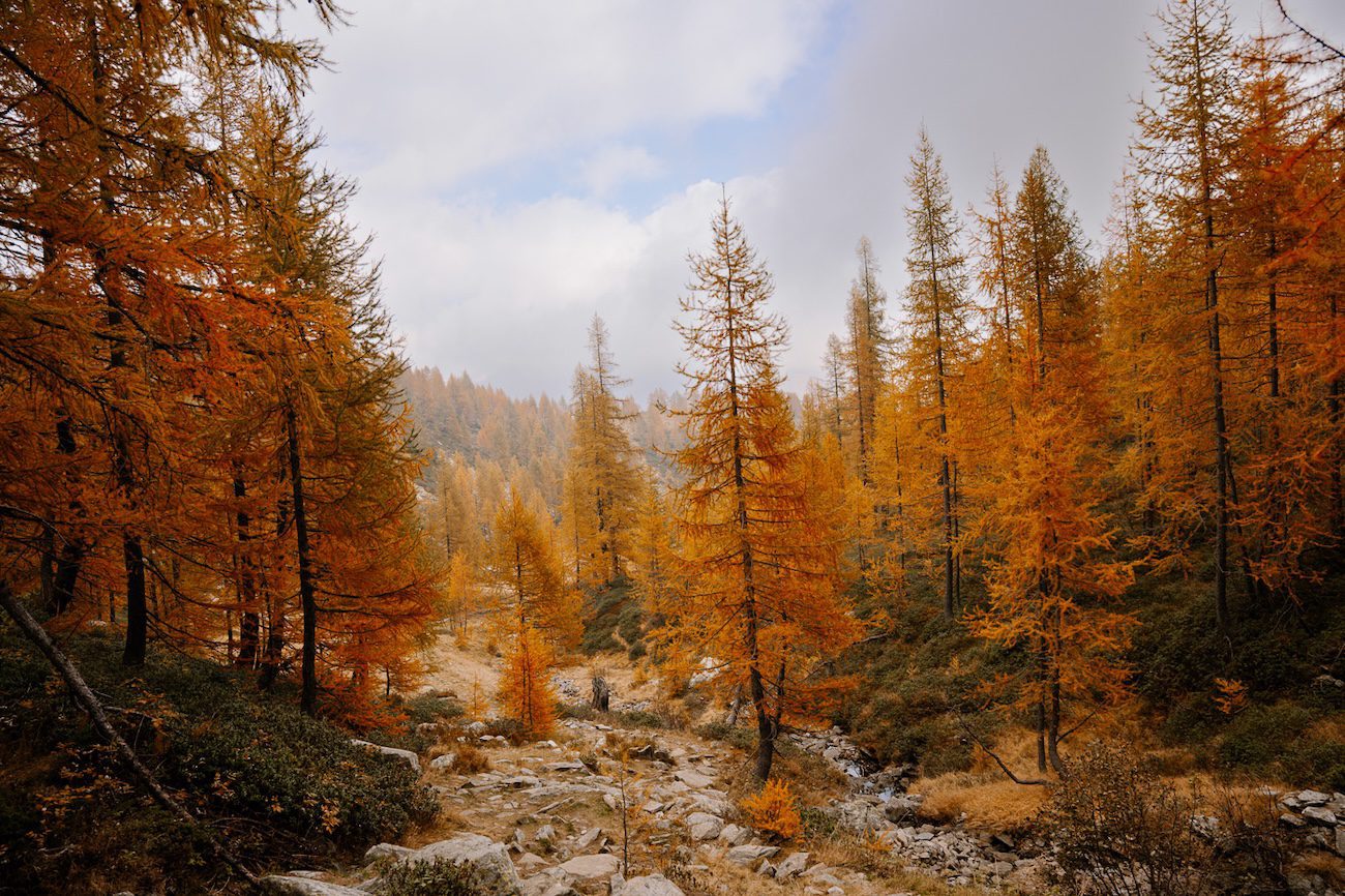 Herbstwandern in der Schweiz