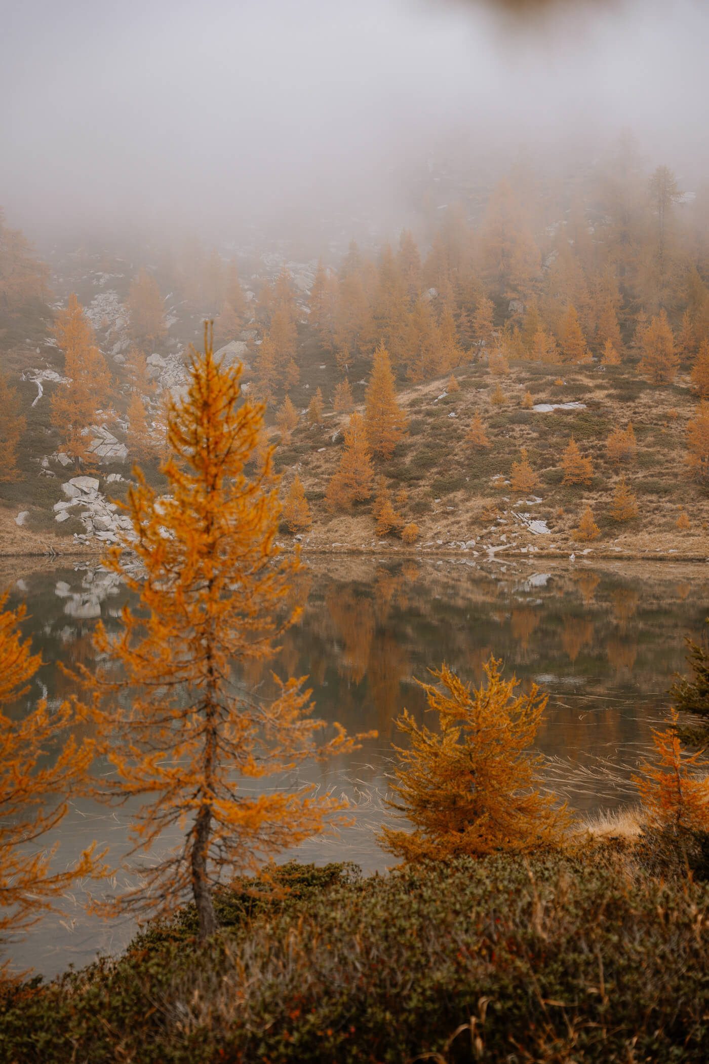 Mystische Nebelstimmung am See