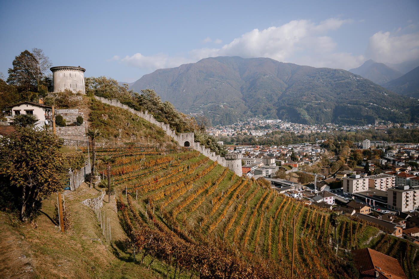Blick mit Weinbergen und Bellinzona im Hintergrund