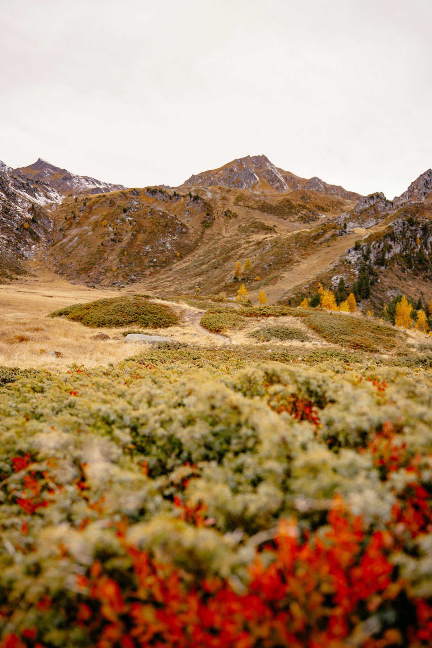 Bunter Herbstpracht im Vallon de Rechy