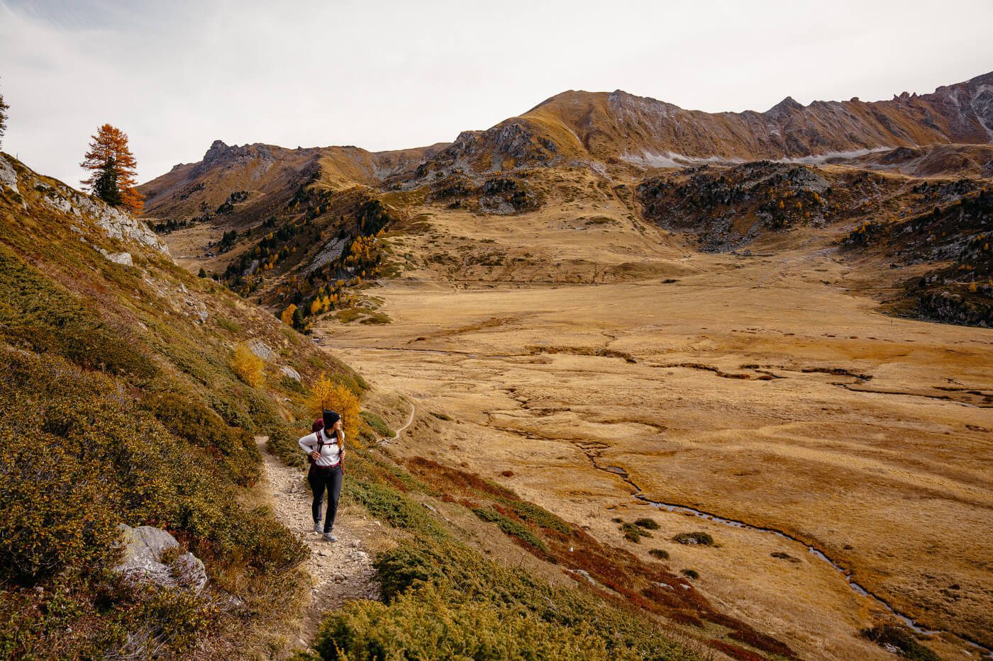 Blick auf die Moorlandschaft
