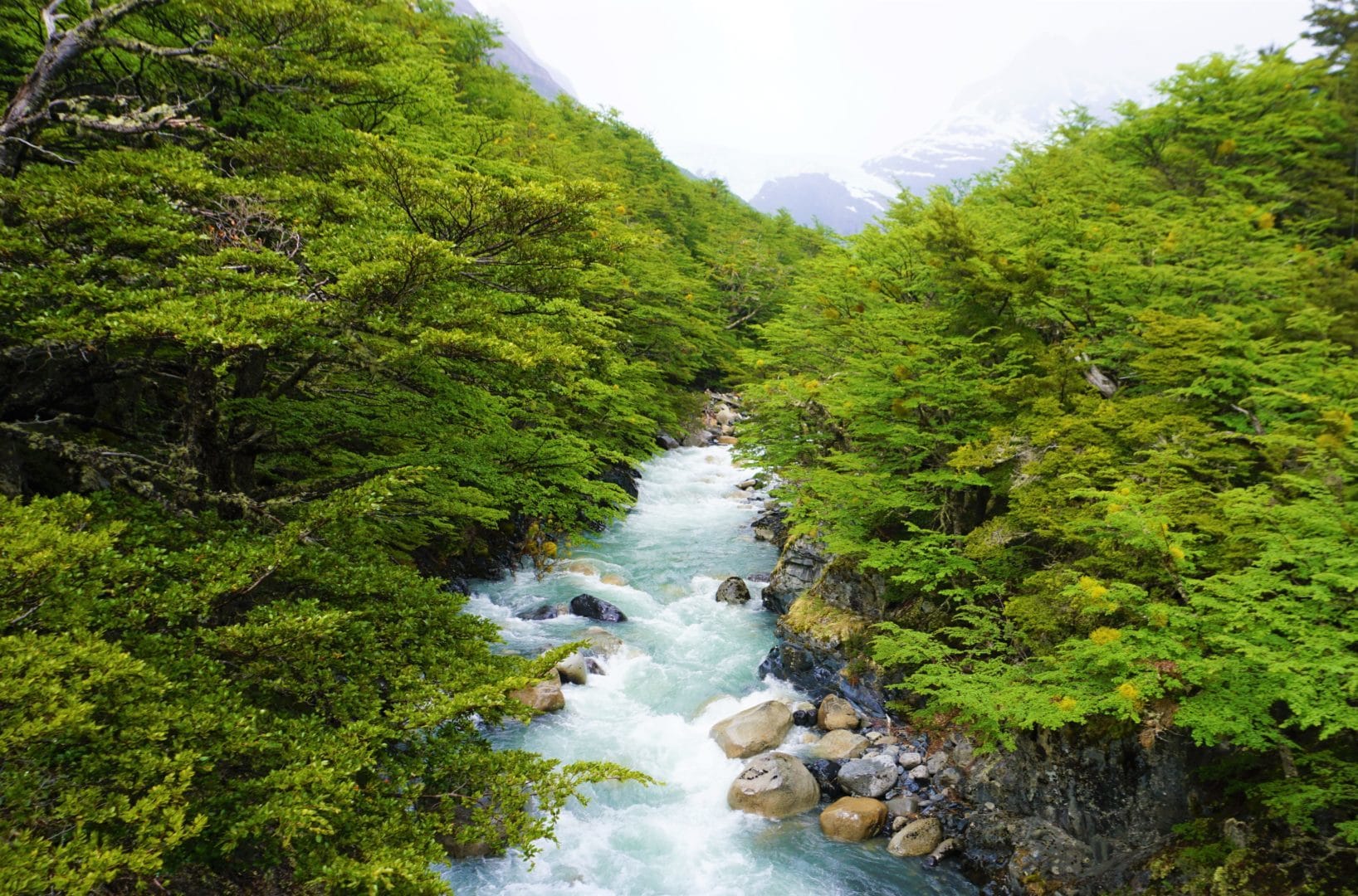 Torres del Paine Nationalpark