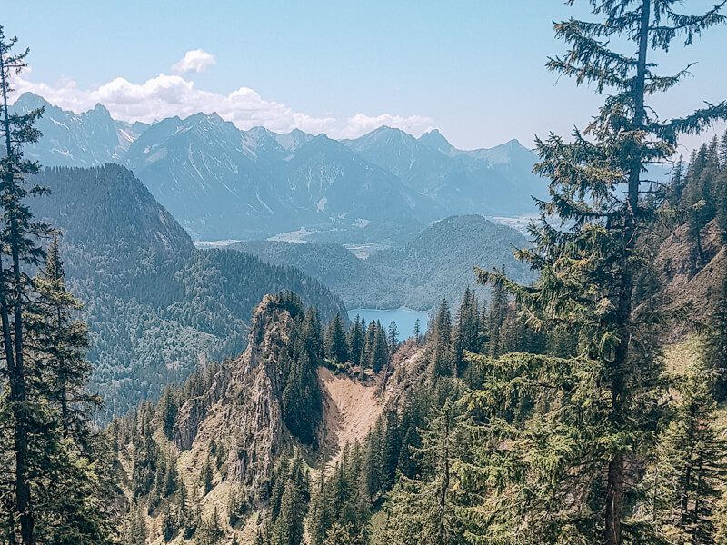 Ausblick Allgäuer Alpen