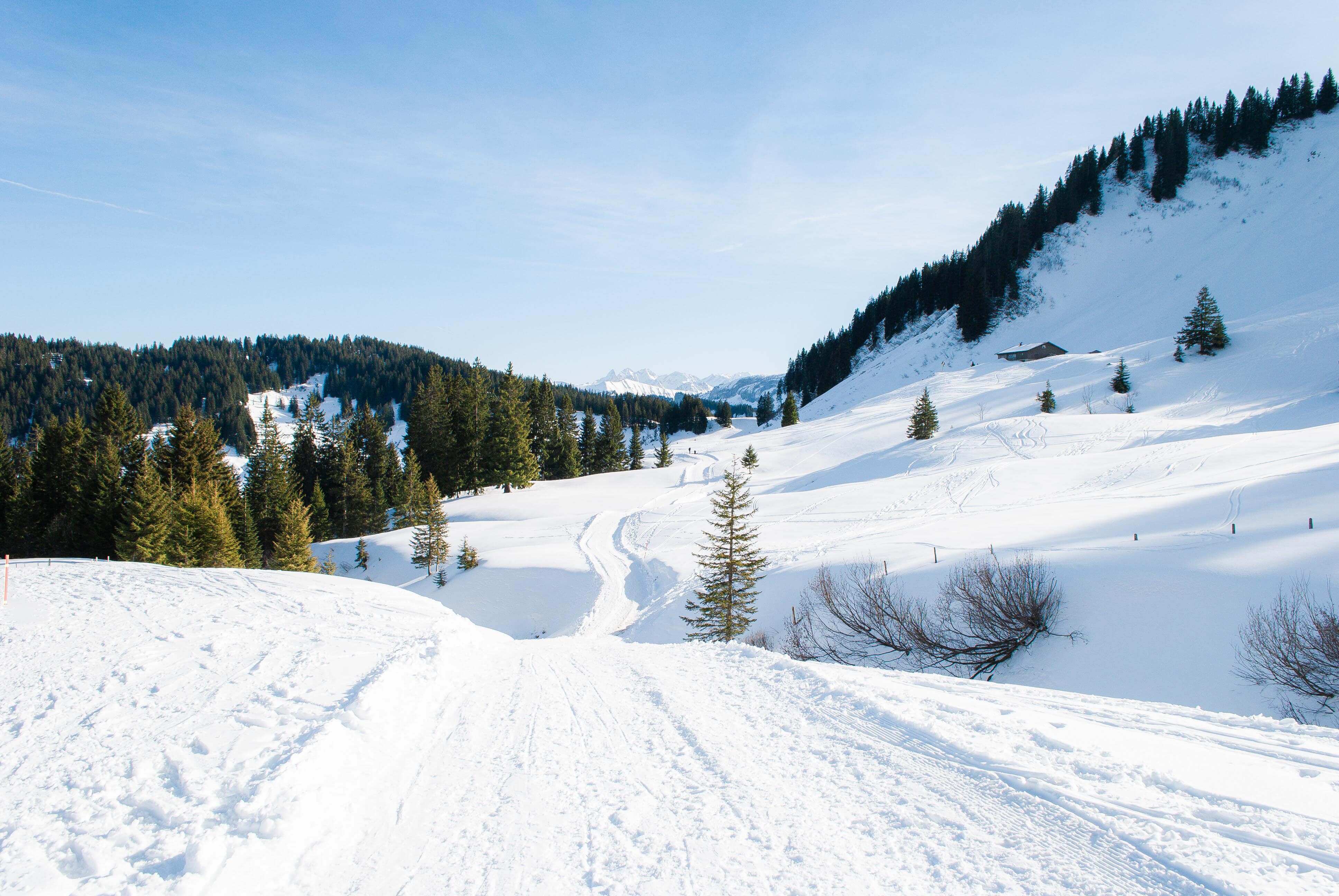Winterwandern zur Burglhütte