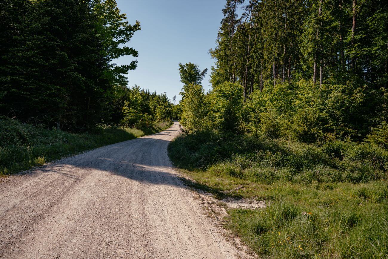 Waldradweg perfekt für Gravelfahrer