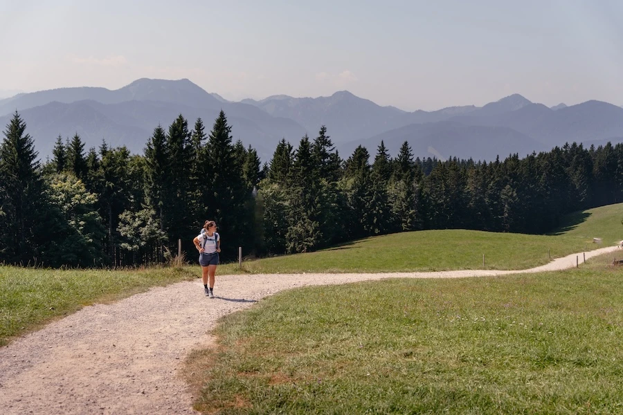 Auf dem Prinzenweg mit Alpen im Hintergrund