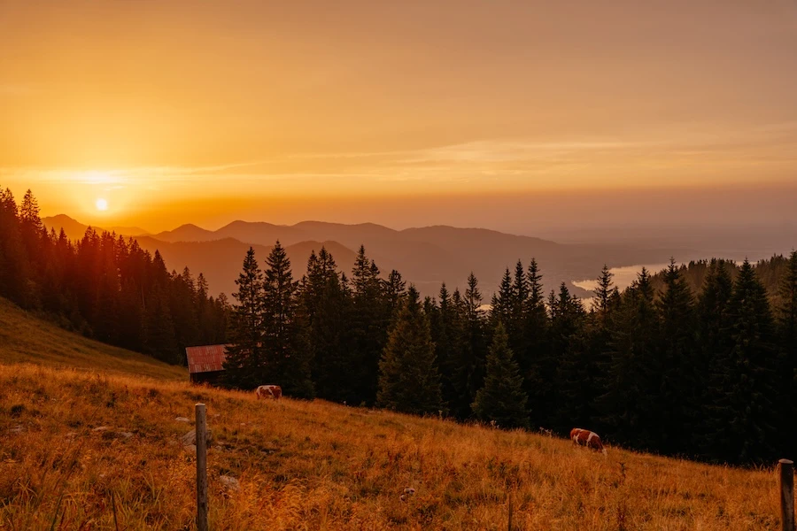 Sonnenuntergang vom Alten Wallberghaus