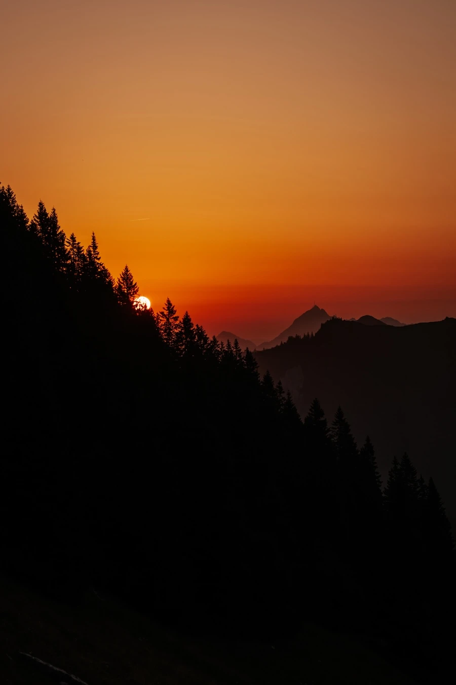 Sonnenaufgang Sonne hinter den Bäumen