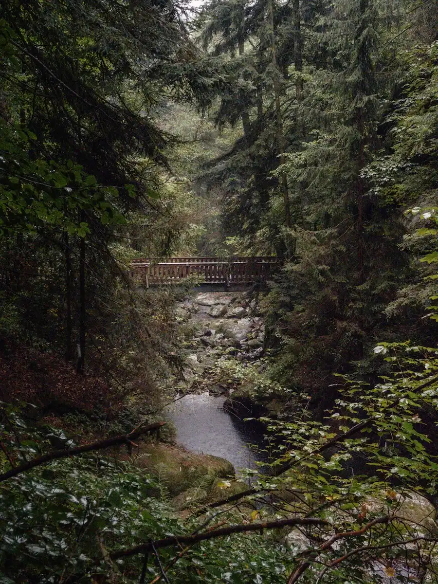 Über Brücken durch die Stillensteinklamm