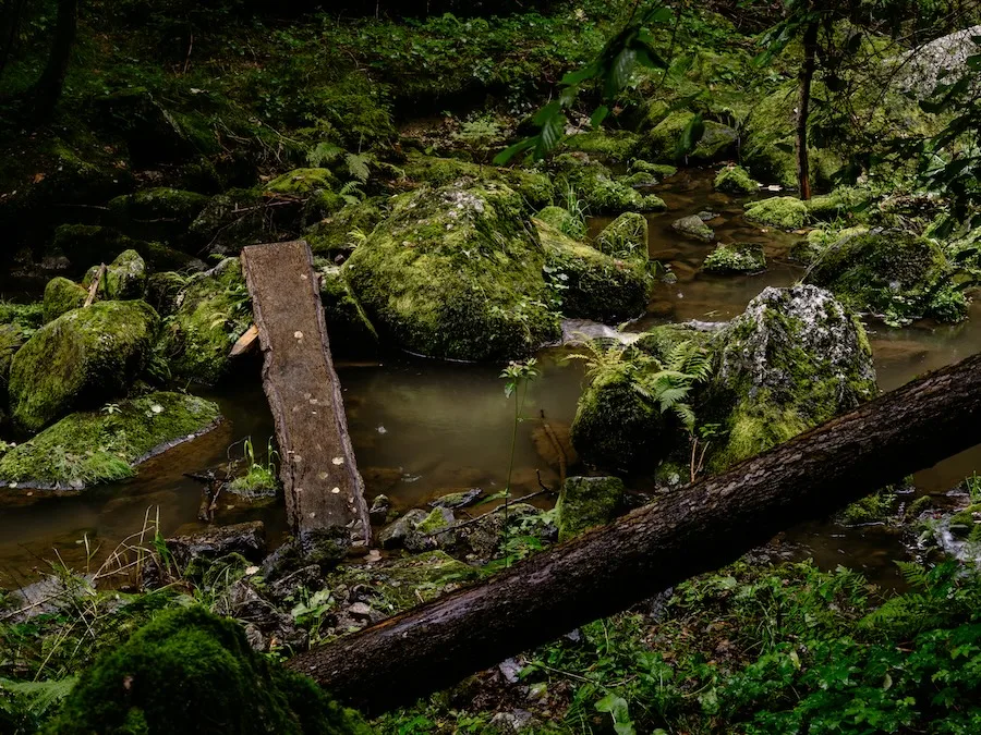 Grün in der Stillensteinklamm