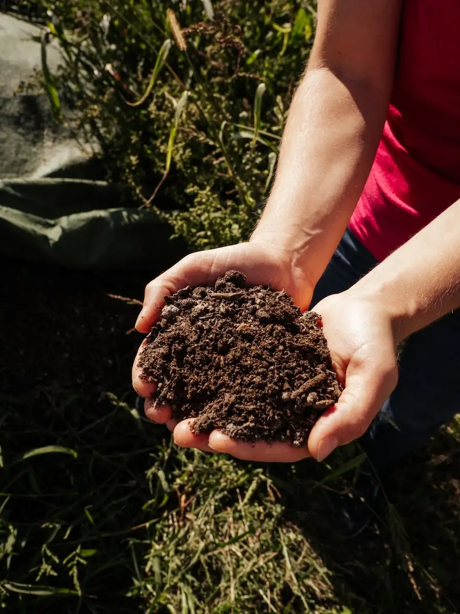 Regionalität im Wanderdorf Bad Kreuzen
