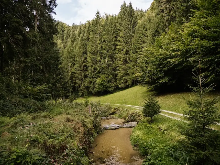 Durch das Stille Tal