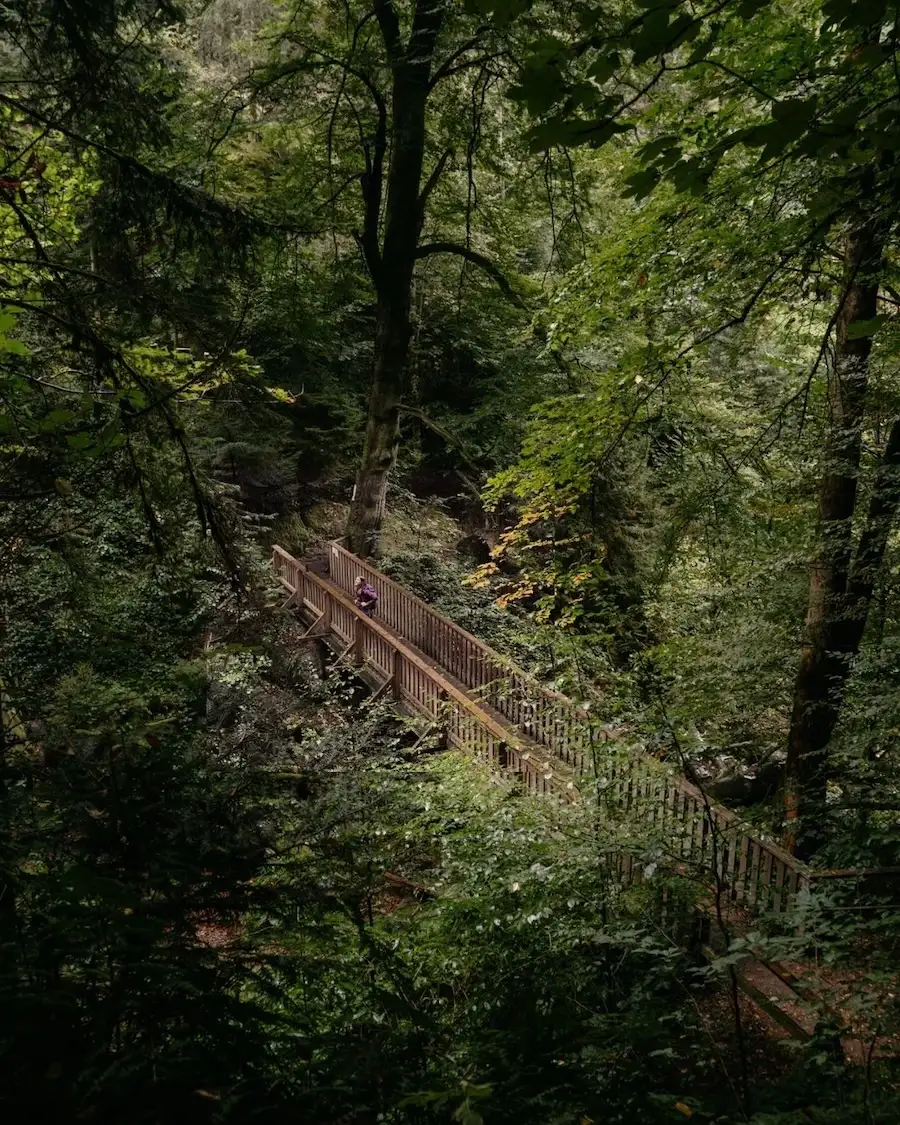 Mystische Schluchten bei Bad Kreuzen