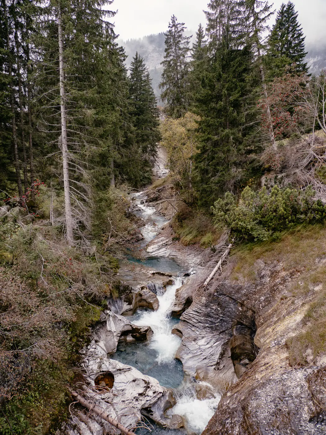 Blick in die Gumpen des Flusses