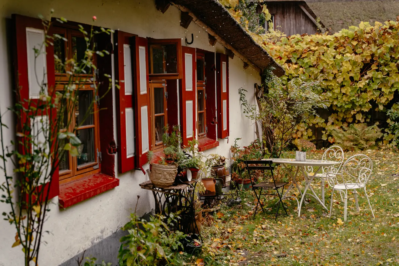 Dornenhaus in Ahrenshoop