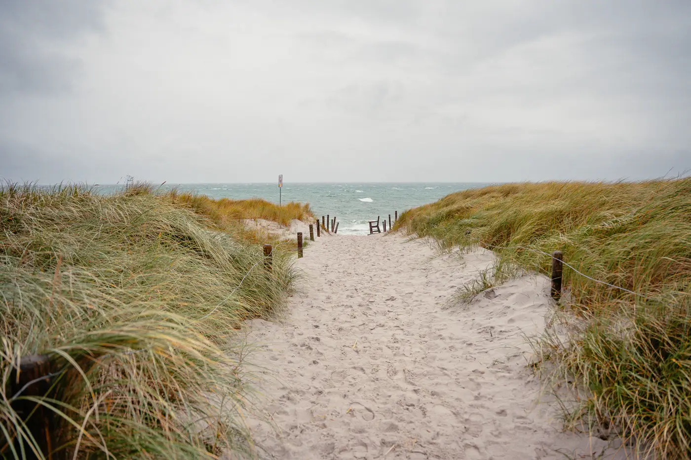 Strand in Ahrenshoop
