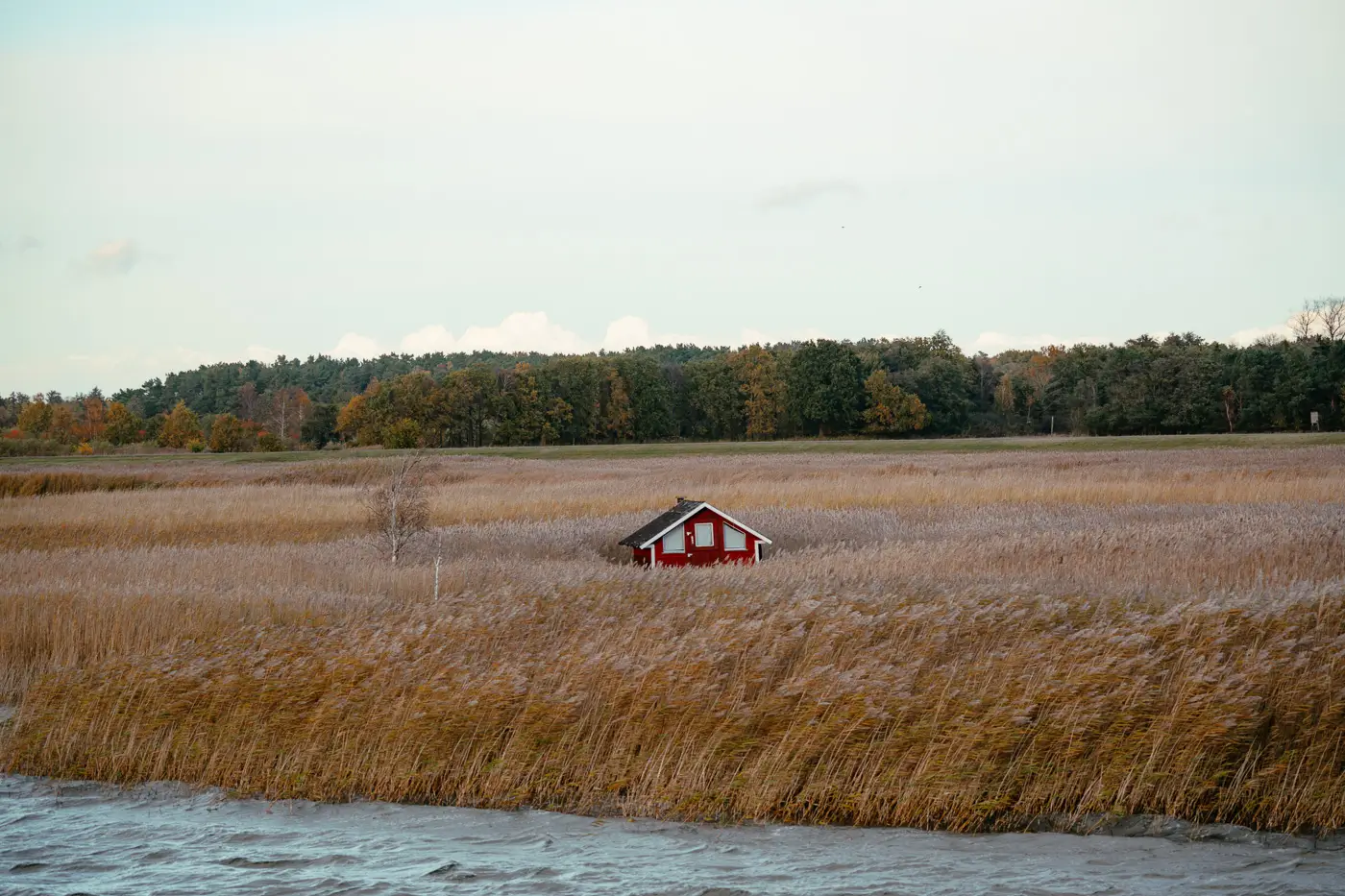 Haus in Boddenlandschaft