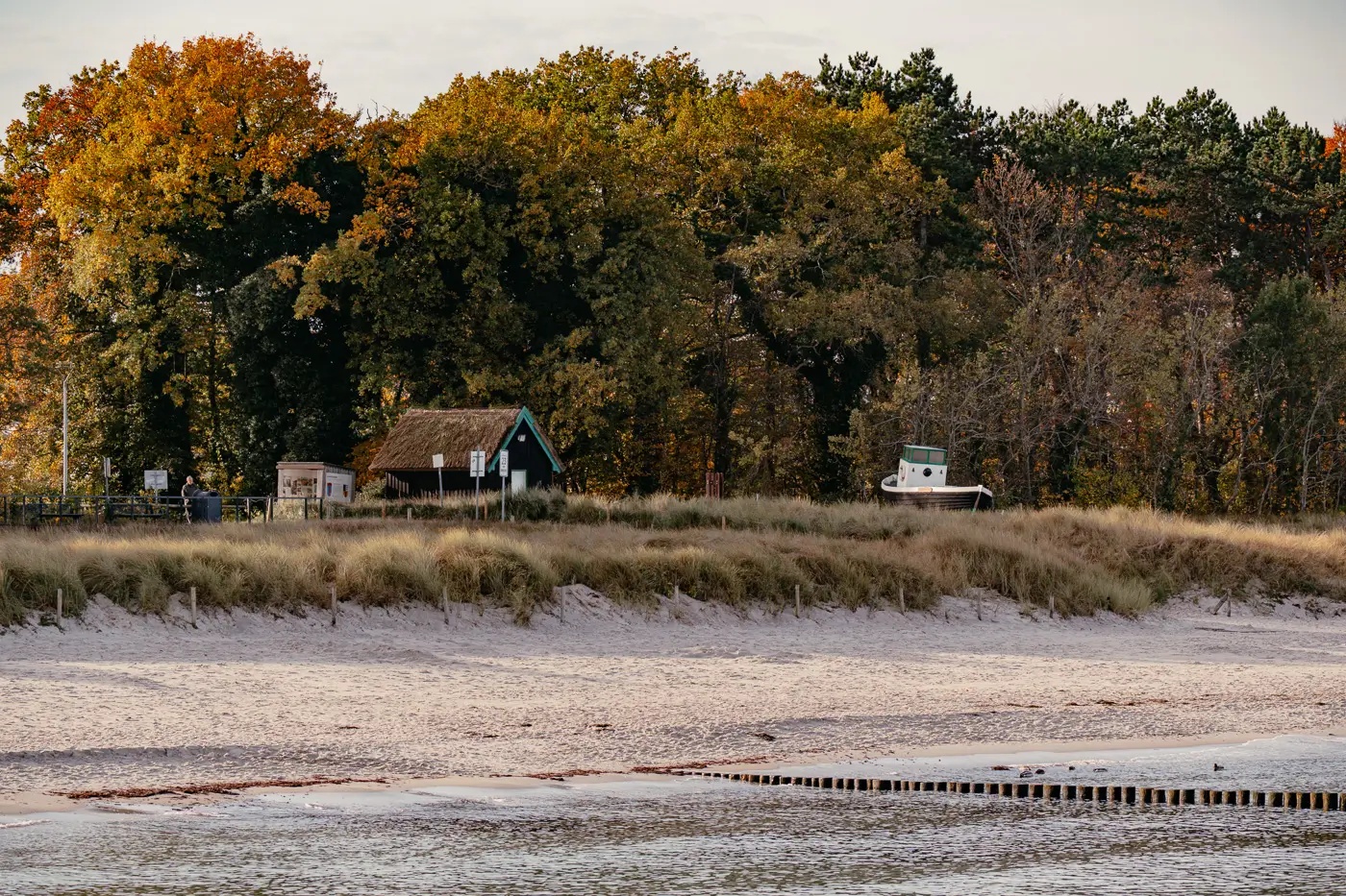 Haus und Boot vor herbstlichem Wald am Strand