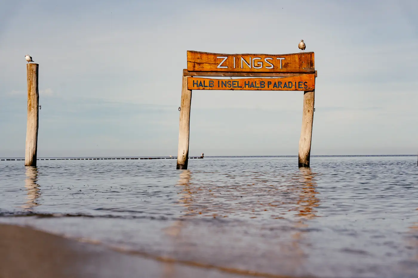 Zingst Schild im Meer mit Möwen