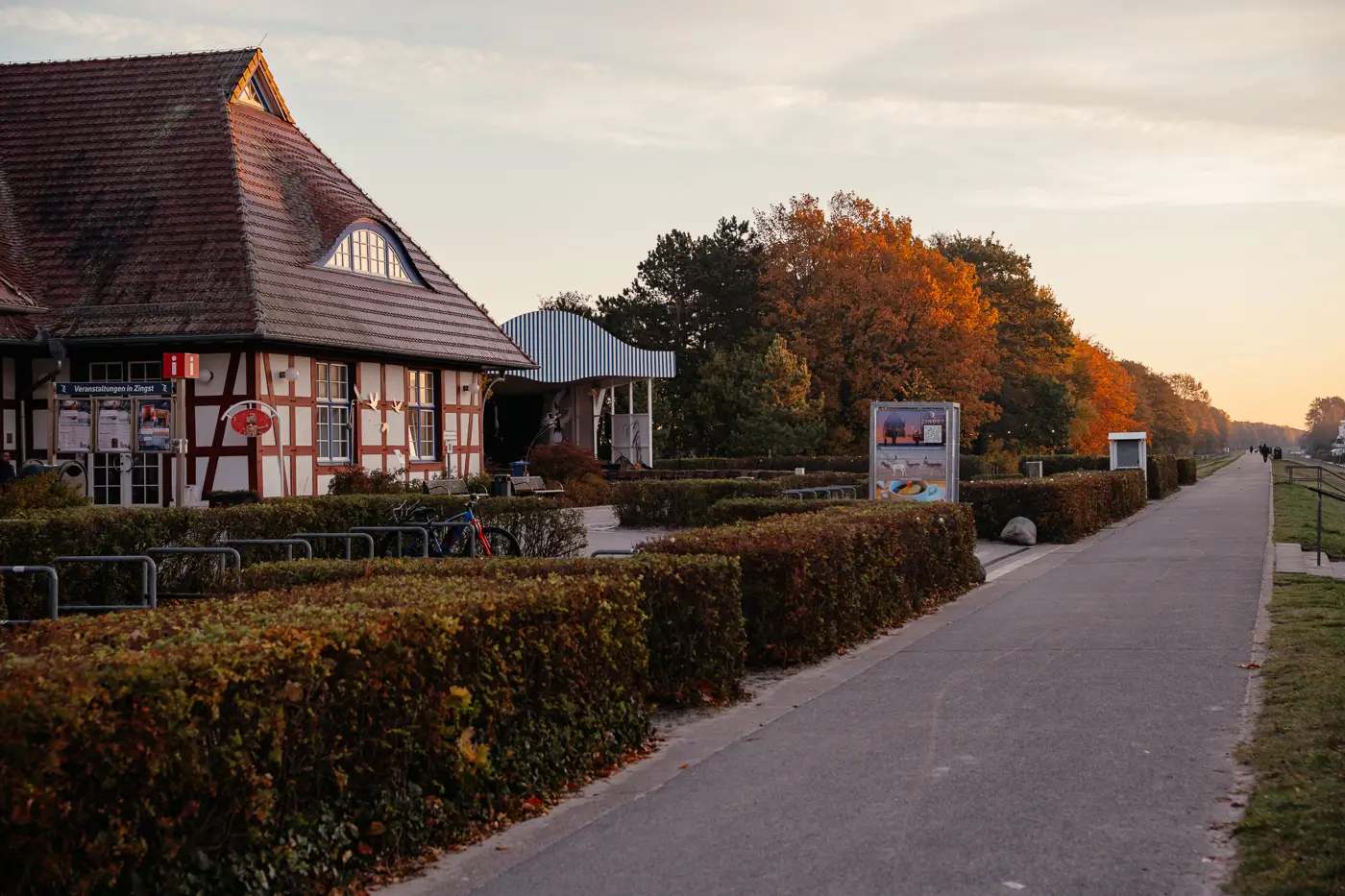 Auf dem Deich von Zingst bei Sonnenaufgang